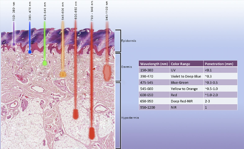 How Does Red Light Therapy Work?